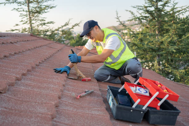 Gutter Installation and Roofing in Pana, IL